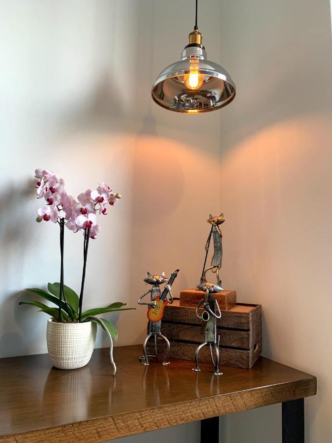 Blue Horse Apartment In New Polanco. مدينة مكسيكو المظهر الخارجي الصورة